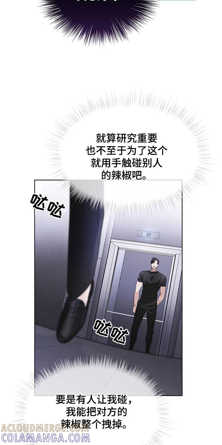 《彩虹城》第82章：【第二季】真期待 第25页