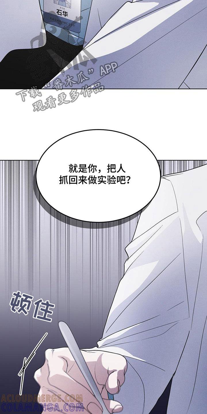 《彩虹城》第83章：【第二季】奸恶之人 第17页