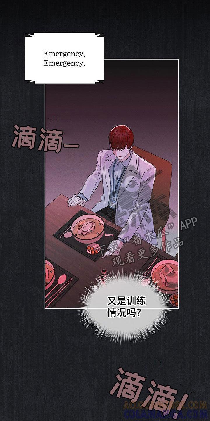 《彩虹城》第84章：【第二季】变异 第9页