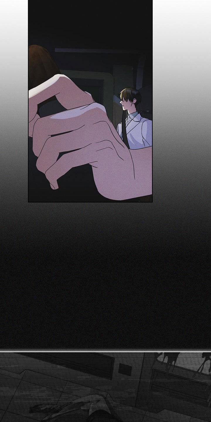 《彩虹城》第87章：【第二季】噩耗 第2页