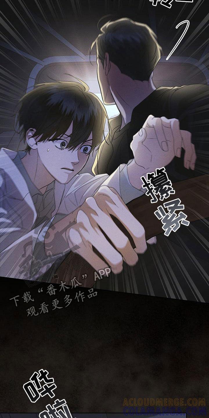 《彩虹城》第89章：【第二季】枪战 第3页