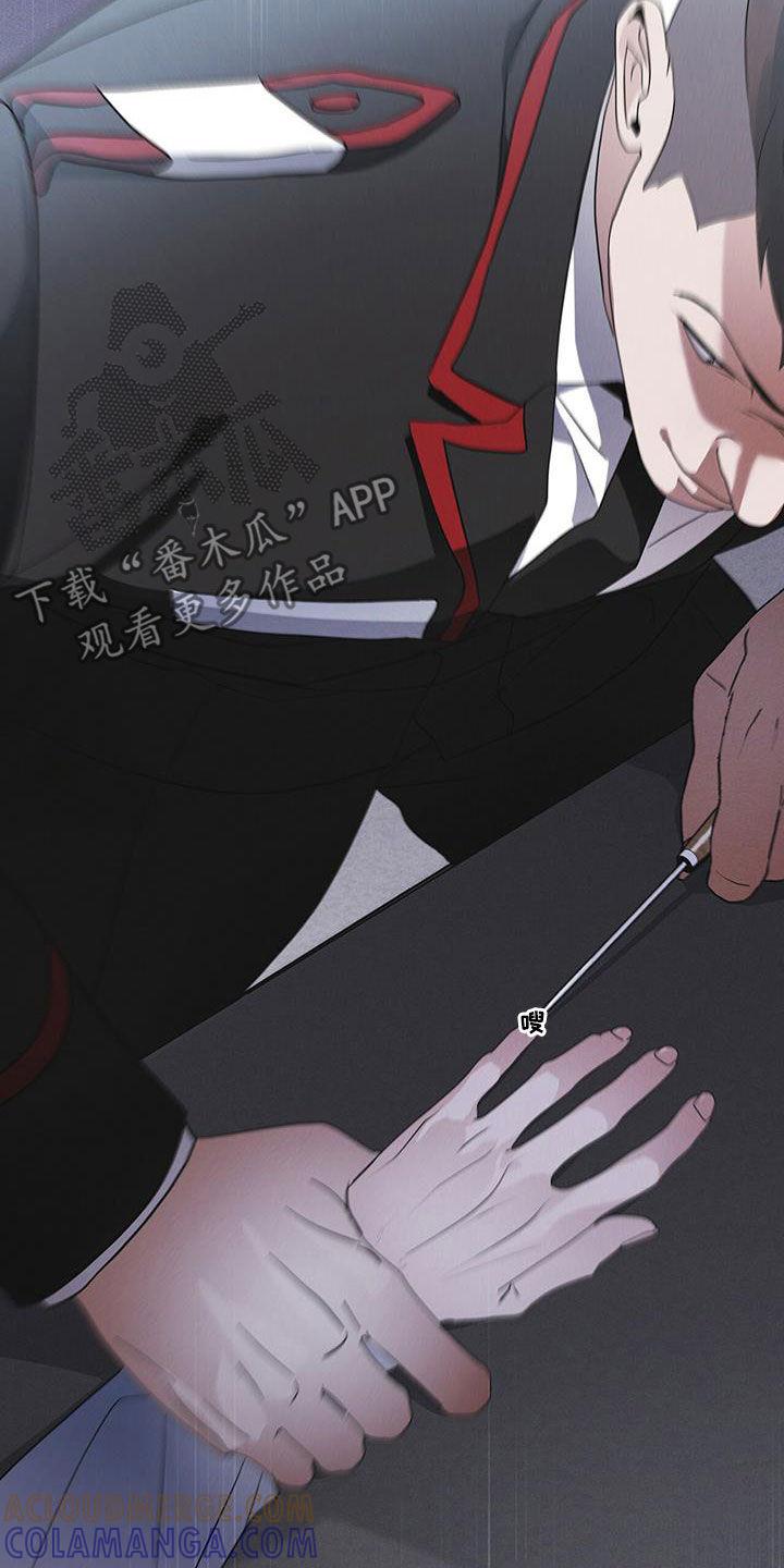 《彩虹城》第91章：【第二季】严刑拷打 第9页