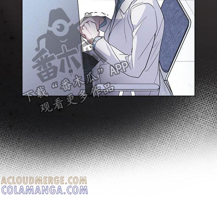 《彩虹城》第92章：【第二季】交代 第13页