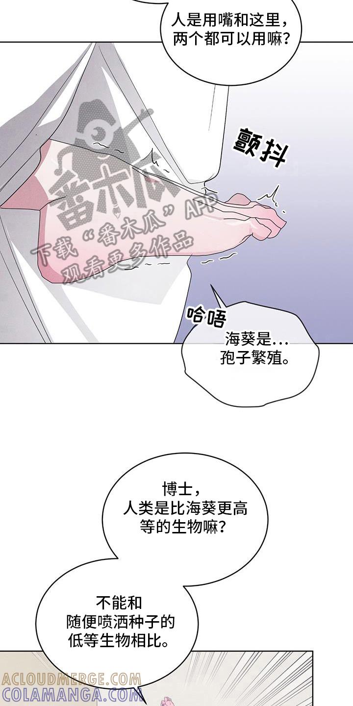 《彩虹城》第98章：【第二季】原来走了 第7页