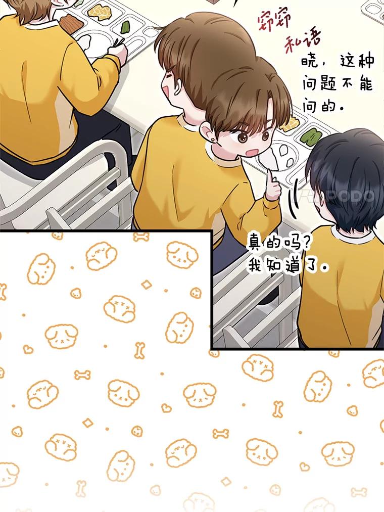《天生爱豆的娱乐圈攻略法则》12.公布等级 第7页