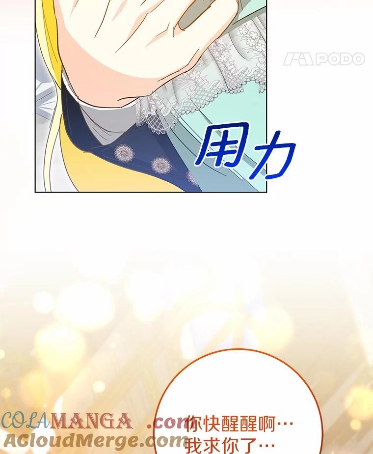 《我从没抛弃过陛下》50.礼物 第101页