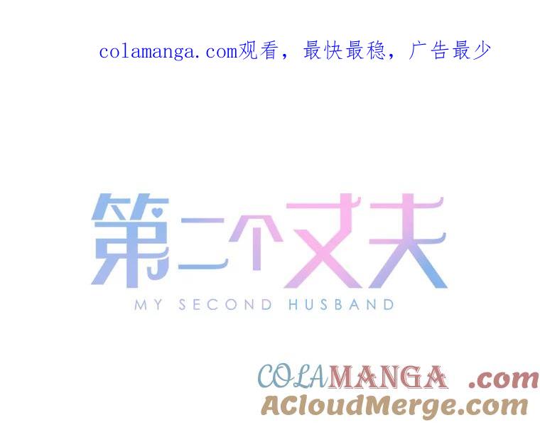 《第二个丈夫》67.保守秘密 第1页