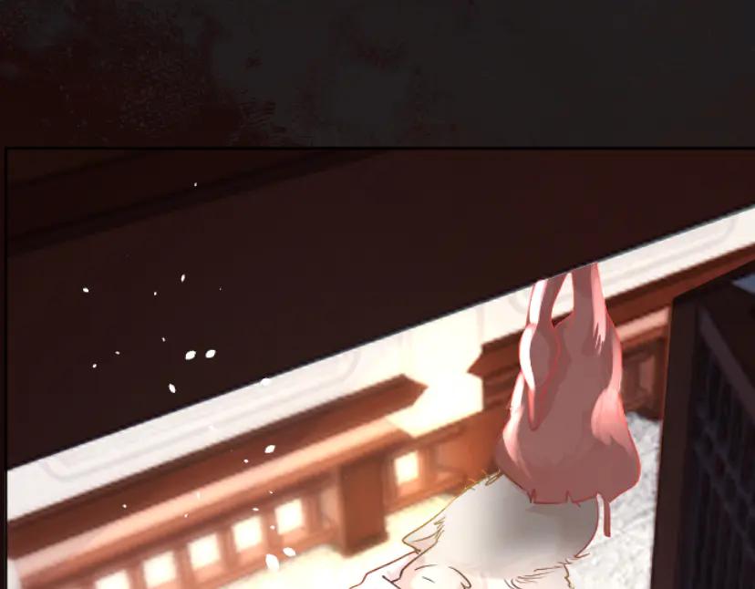 《靠颜值横扫乙女游戏，但是只猩猩》第5话 变得更美 第4页