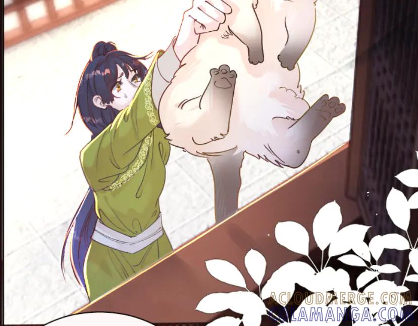 《靠颜值横扫乙女游戏，但是只猩猩》第5话 变得更美 第5页