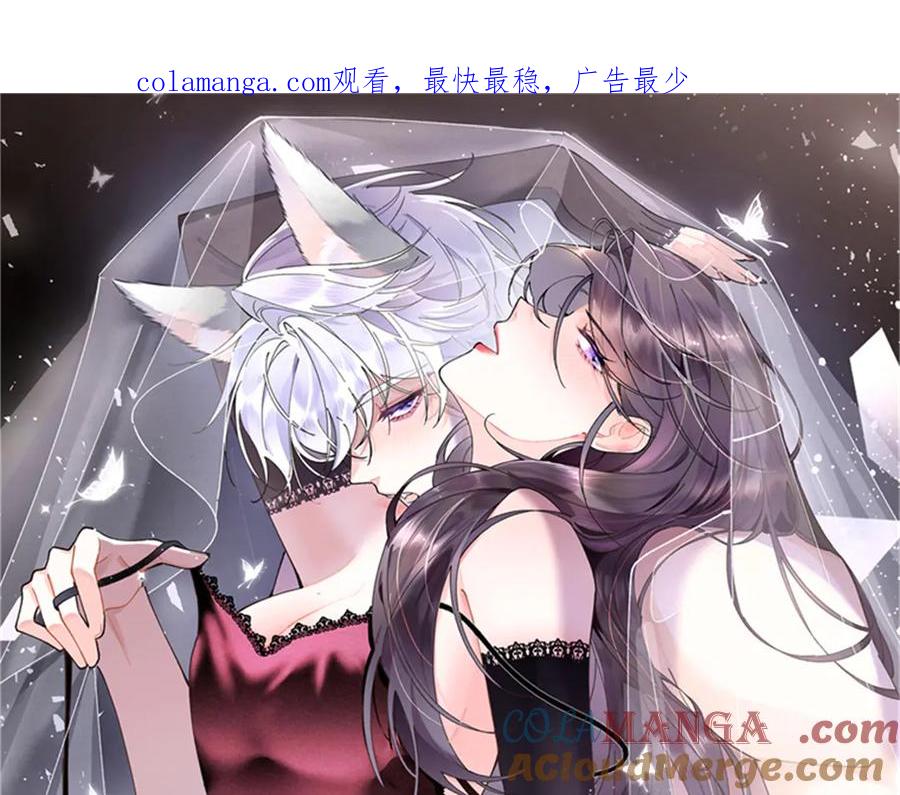 《白天被逃婚晚上被奶凶指挥官求抱抱》28 当然不讨厌你 第1页