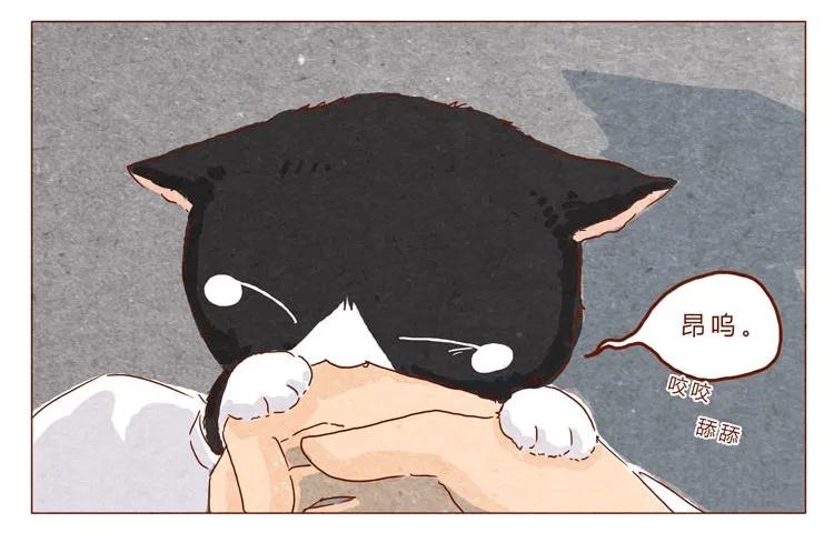 喂，看见耳朵啦 - 番外 跟你很熟吗 - 第14张图