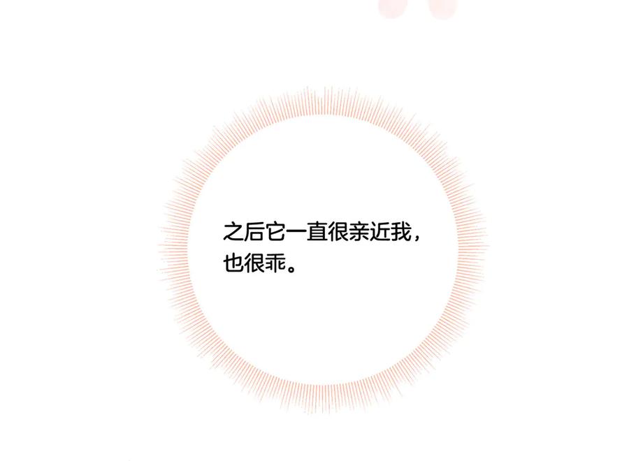 《桃色绯闻》第29话 第12页