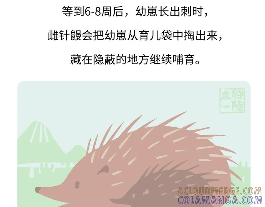 《胖达x胖达》第258话 第27页