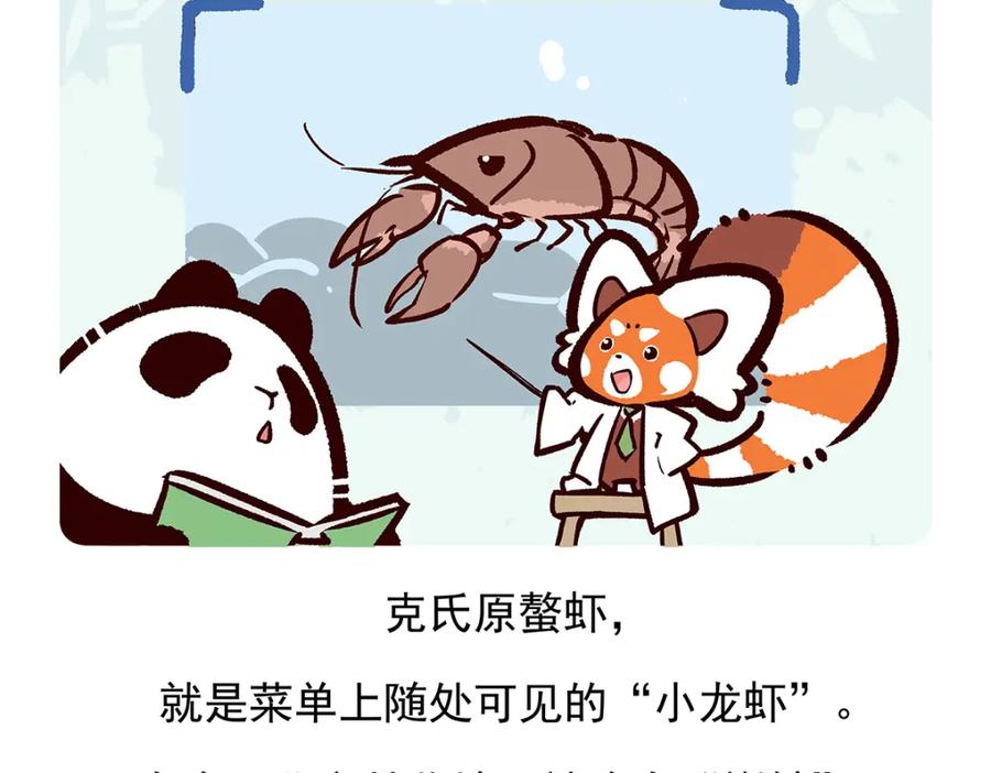 《胖达x胖达》第72话 第20页