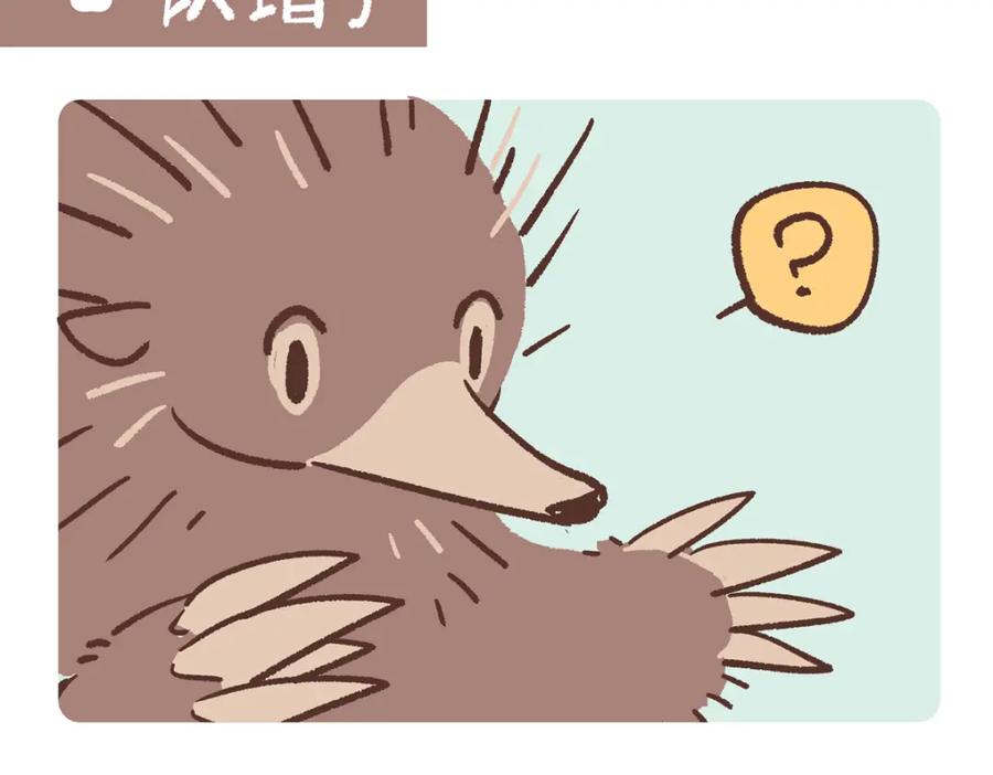《胖达x胖达》第255话 第8页