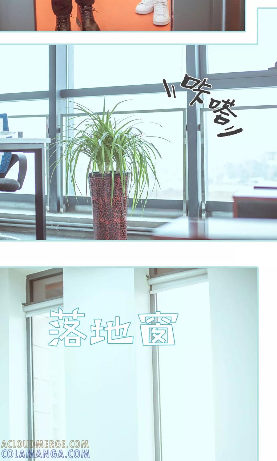 《名门枭宠》第21话 第17页