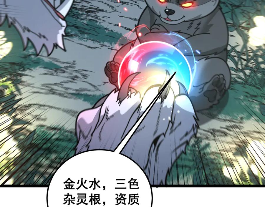 老蛇修仙传（蛇祖） 第29回 测灵根天赋初显 第47页