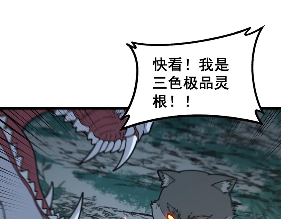 老蛇修仙传（蛇祖） 第29回 测灵根天赋初显 第46页