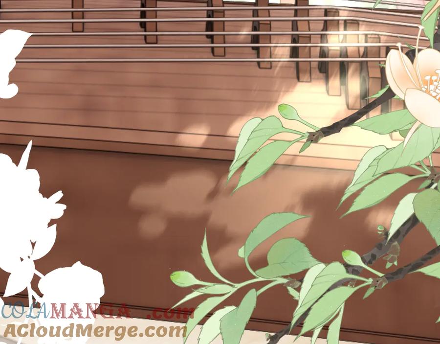 《穿成马甲大佬的妹妹》第55话 画中仙顾漾 第101页