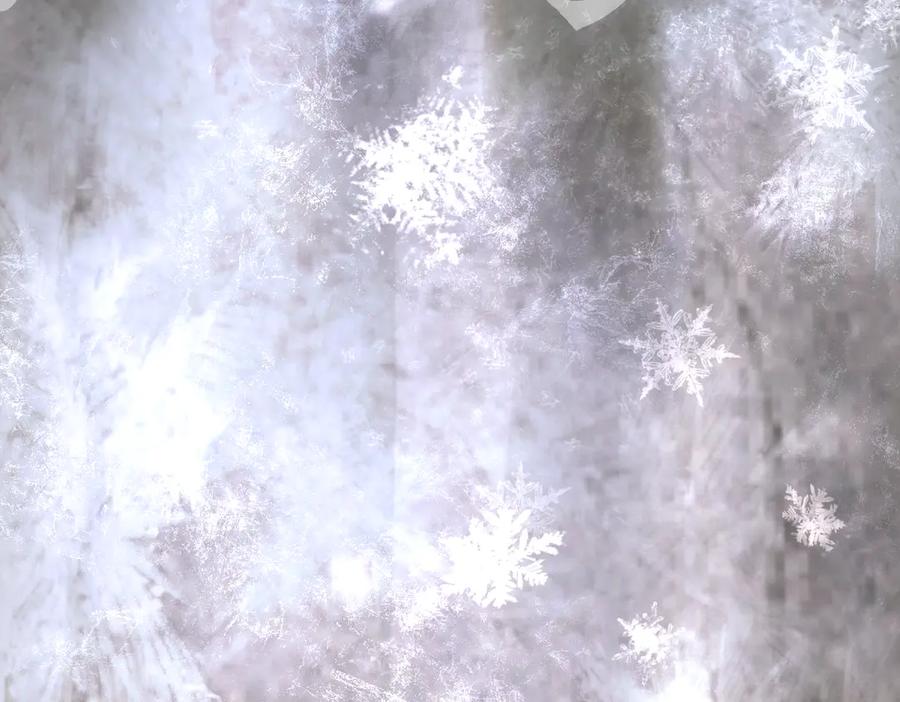 《恶之环》57-12-1 第59页