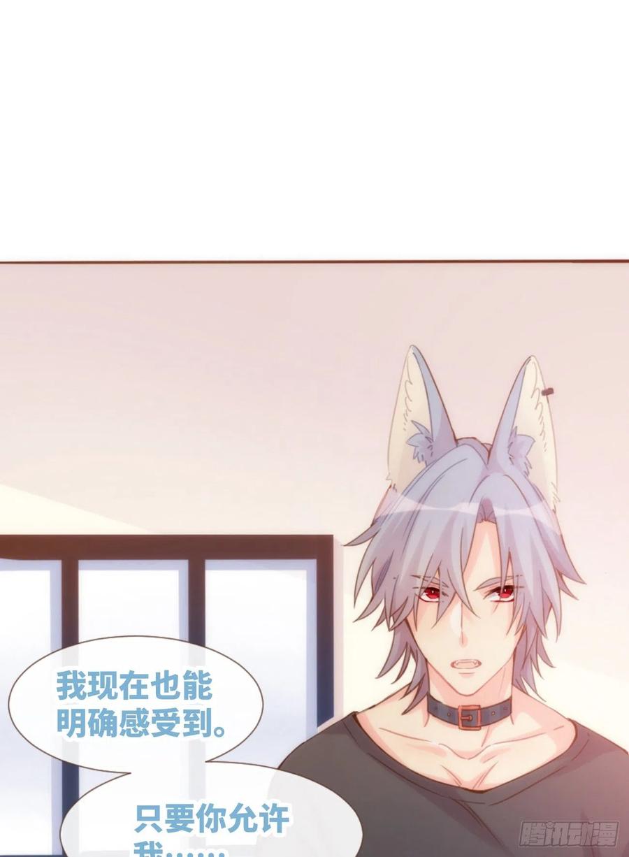 《巧克力于犬是禁止事项》◆05中◆ 我可以摸你吗？ 第30页
