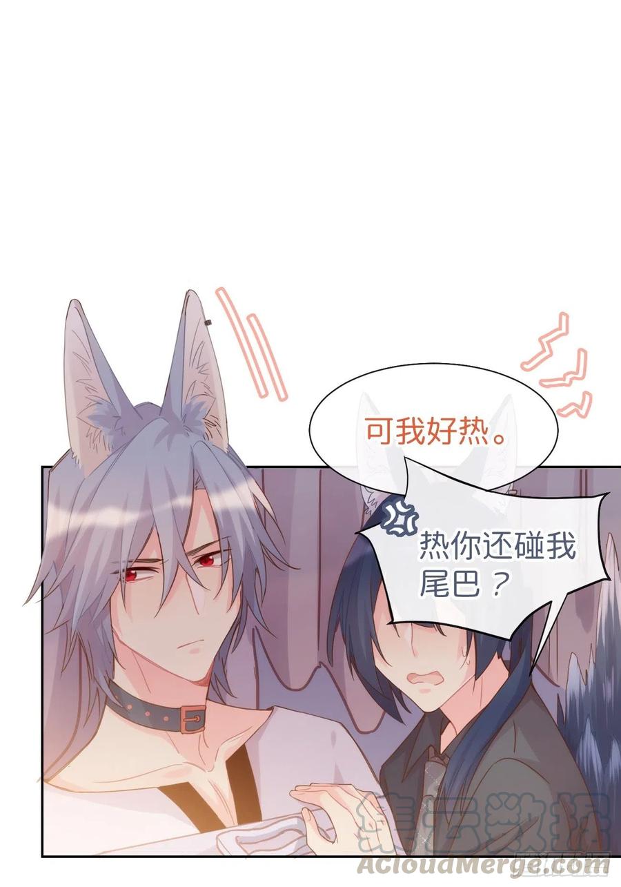 《巧克力于犬是禁止事项》◆07上◆ 我来！ 第25页