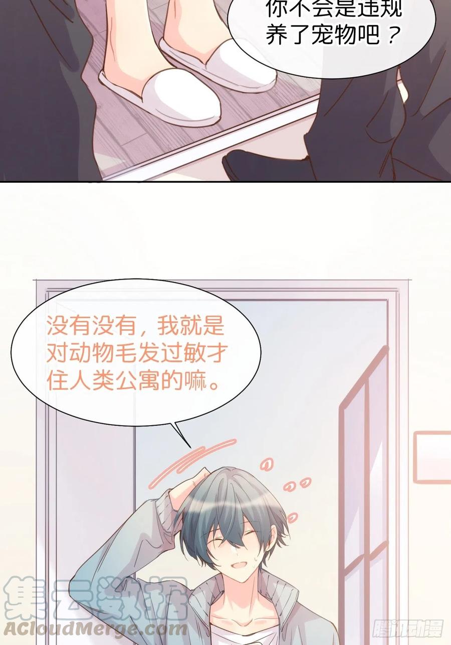 《巧克力于犬是禁止事项》◆07上◆ 我来！ 第31页