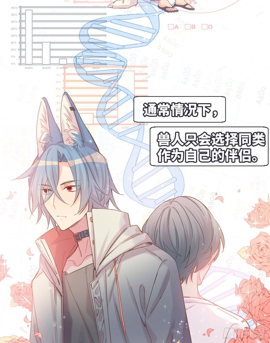 《巧克力于犬是禁止事项》★预告★ 第2页