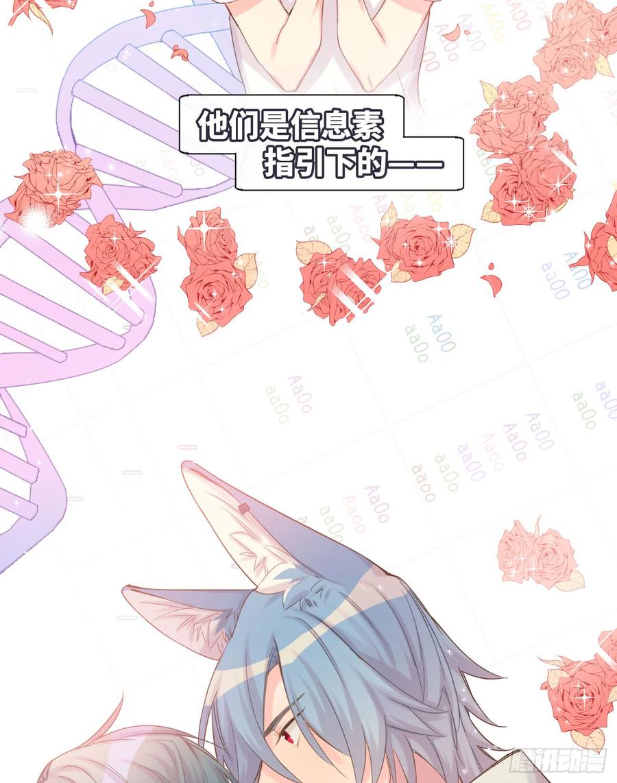 《巧克力于犬是禁止事项》★预告★ 第4页