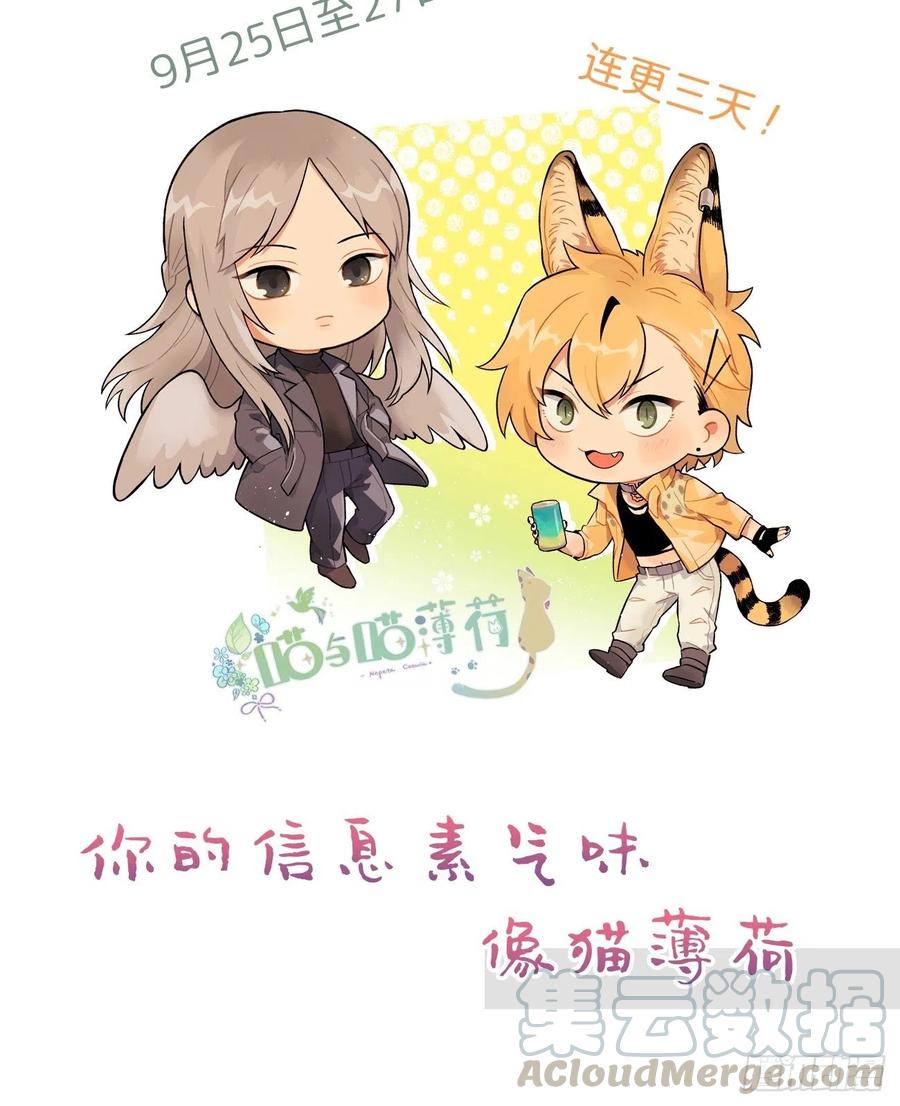 《巧克力于犬是禁止事项》◆15上◆ 为什么啊？ 第40页