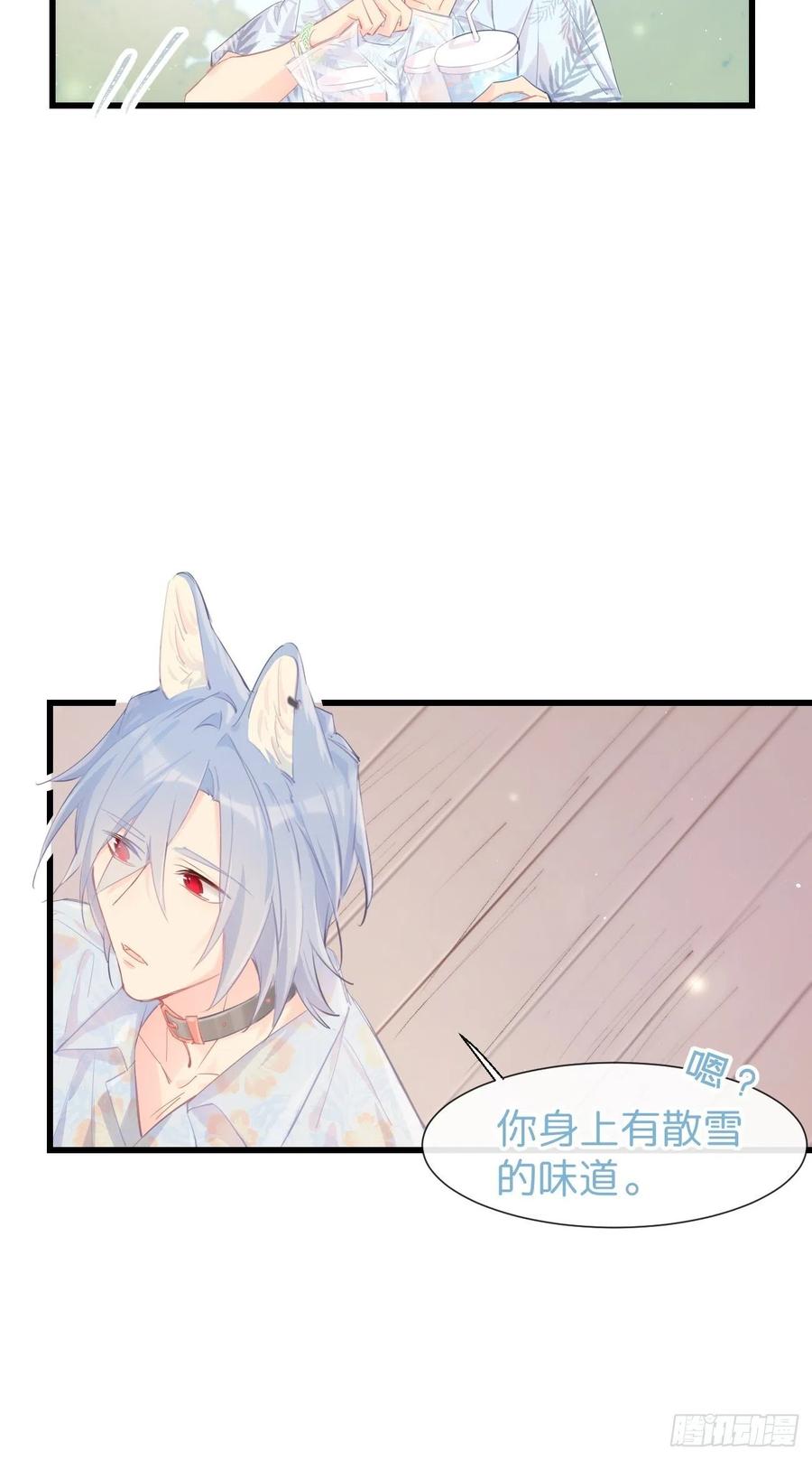 《巧克力于犬是禁止事项》◆21下◆ 药 第12页