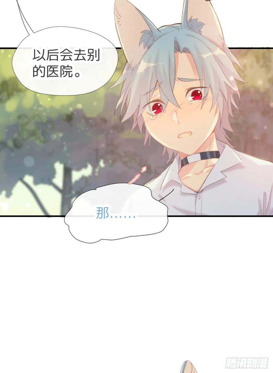 《巧克力于犬是禁止事项》◆02下◆ 喜欢！ 第10页