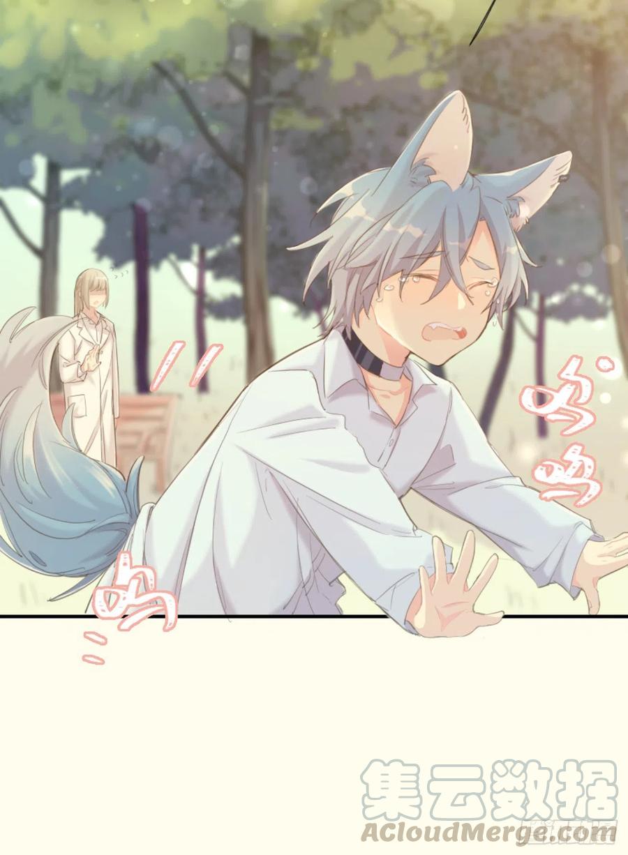 《巧克力于犬是禁止事项》◆02下◆ 喜欢！ 第13页