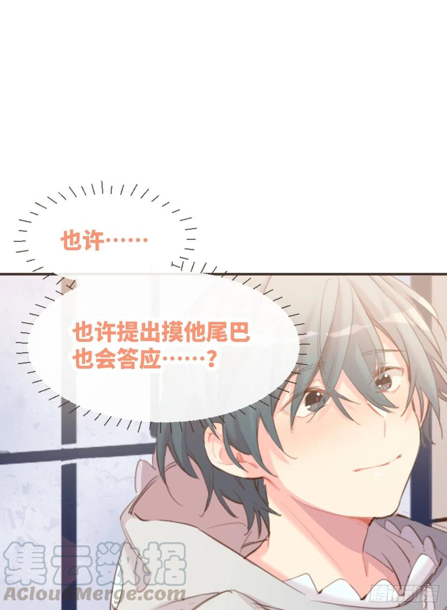 《巧克力于犬是禁止事项》◆02下◆ 喜欢！ 第49页