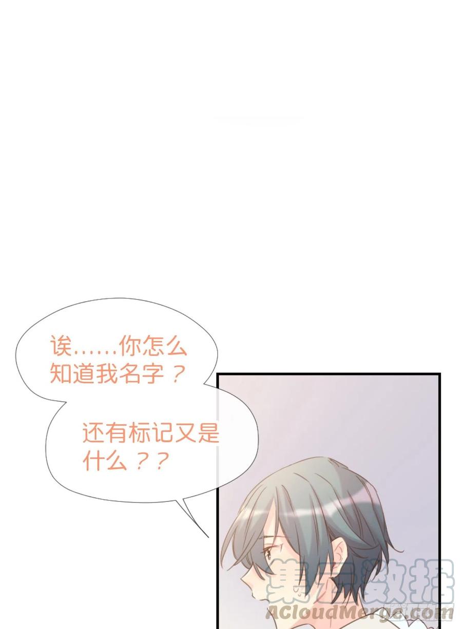 《巧克力于犬是禁止事项》◆03上◆ 不要胡闹！ 第53页