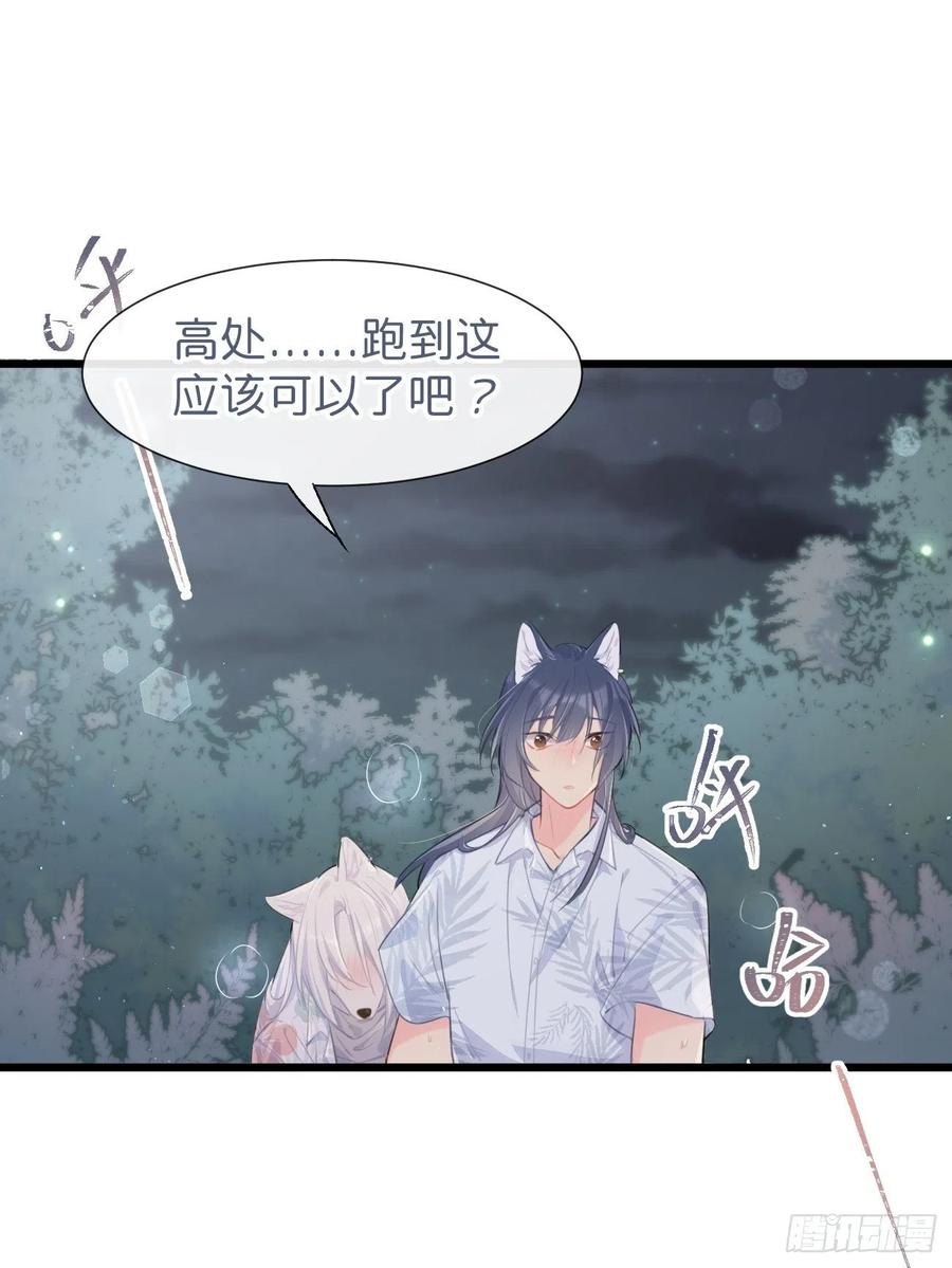 《巧克力于犬是禁止事项》◆29◆ 结 第27页