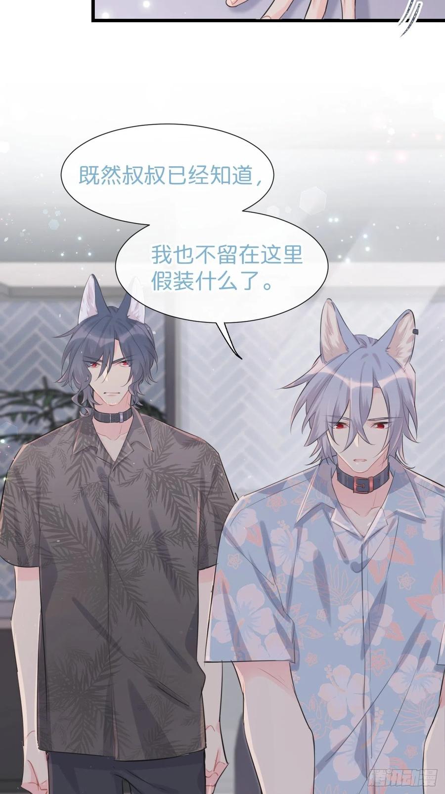 《巧克力于犬是禁止事项》◆29◆ 结 第12页