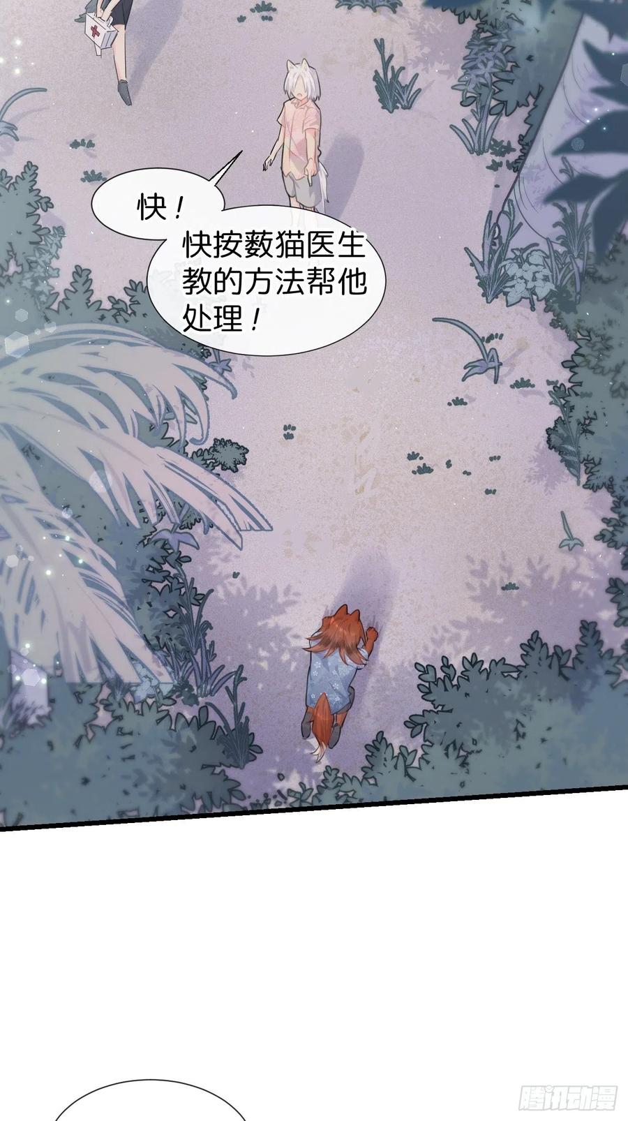 《巧克力于犬是禁止事项》◆29◆ 结 第50页