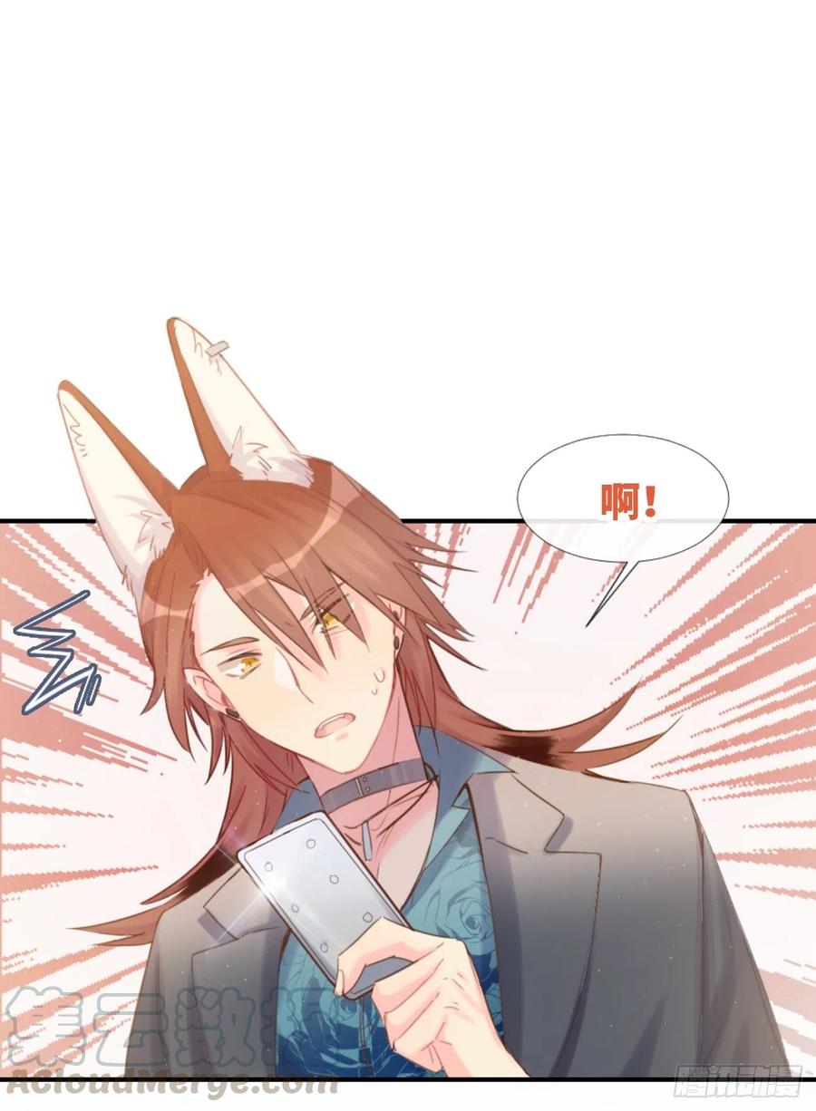 《巧克力于犬是禁止事项》◆03下◆ 啊！ 第41页