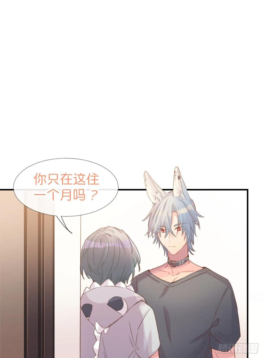 《巧克力于犬是禁止事项》◆03下◆ 啊！ 第15页