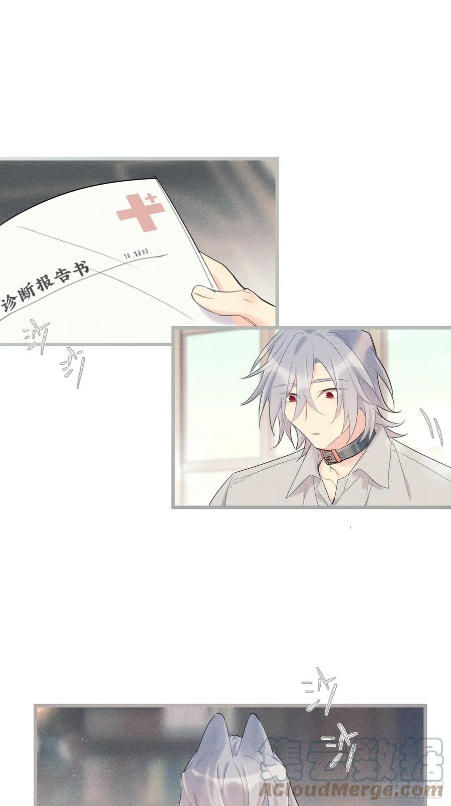 《巧克力于犬是禁止事项》◆33下◆ 动摇 第29页