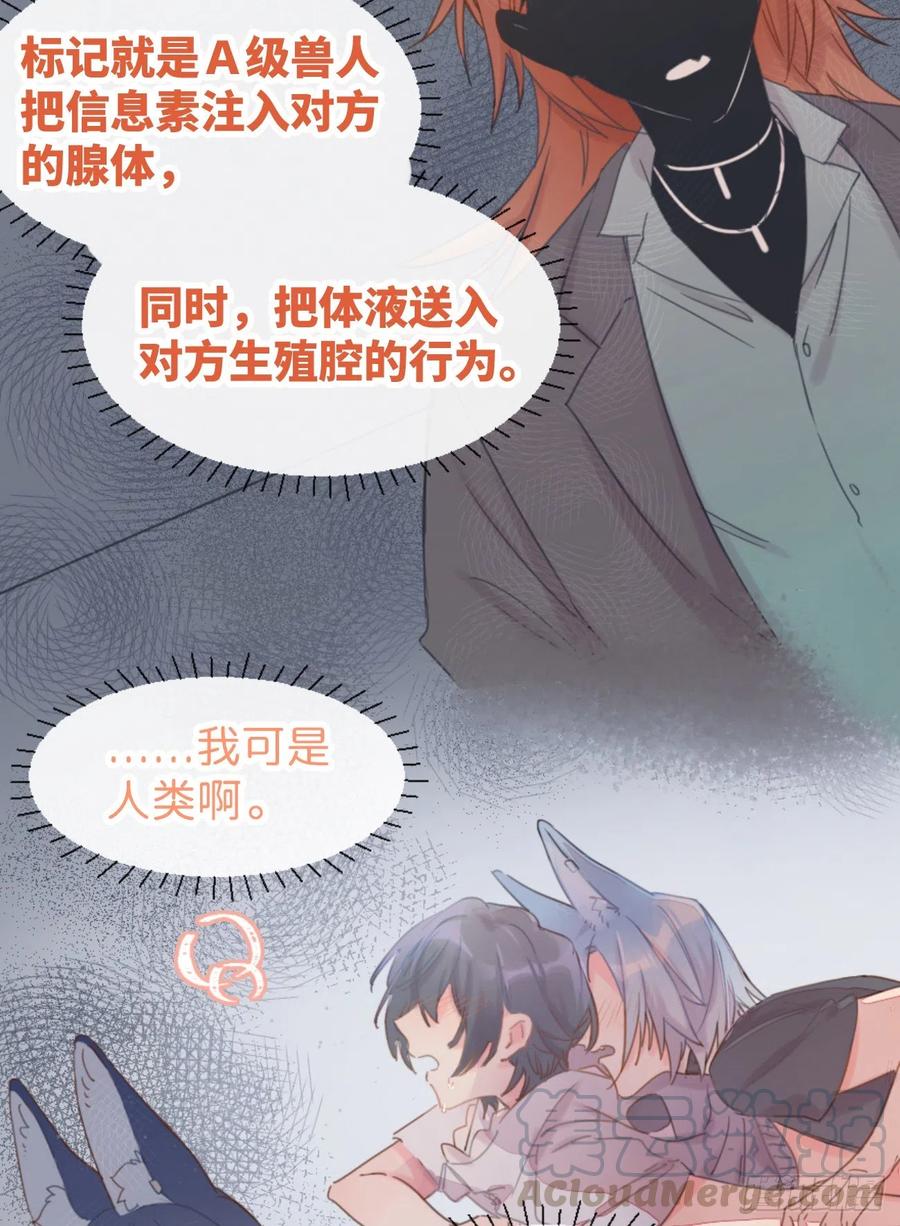 《巧克力于犬是禁止事项》◆04上◆ 等等！ 第36页