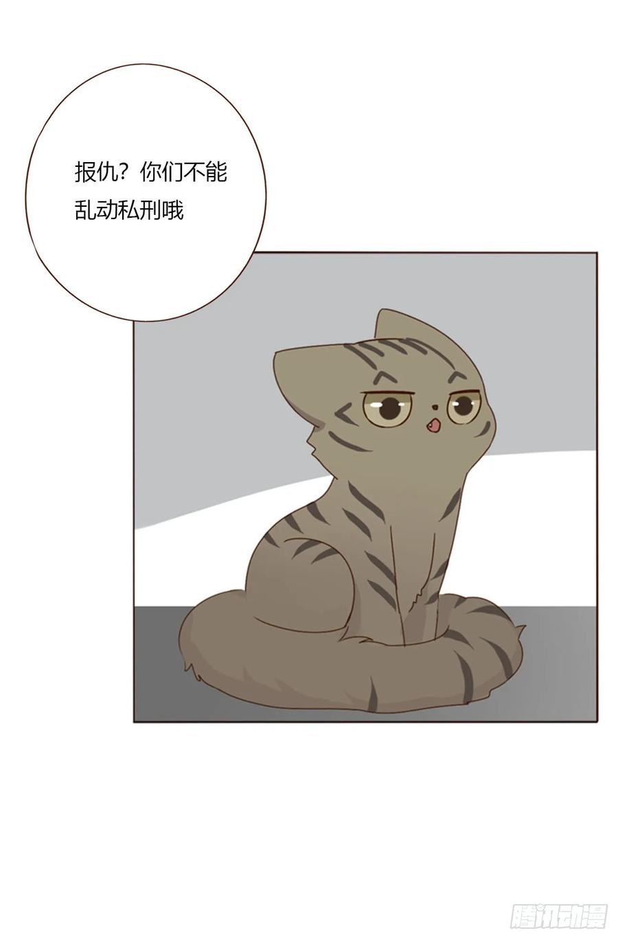 拥然入怀 一八九章 清算1 第32页