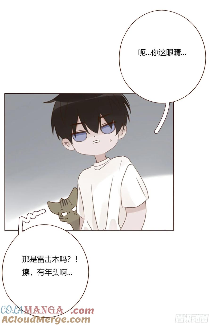 拥然入怀 一八九章 清算1 第29页