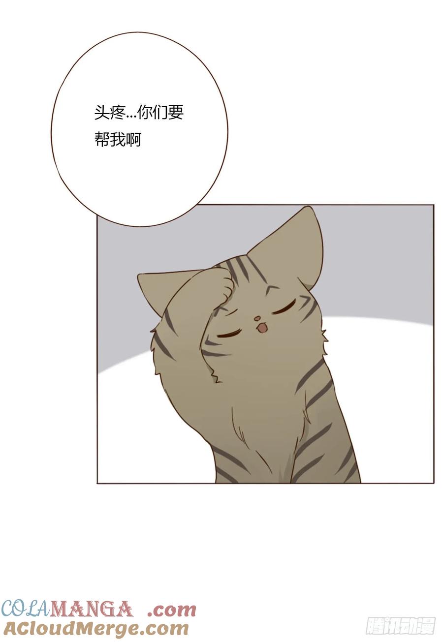 拥然入怀 一八九章 清算1 第23页