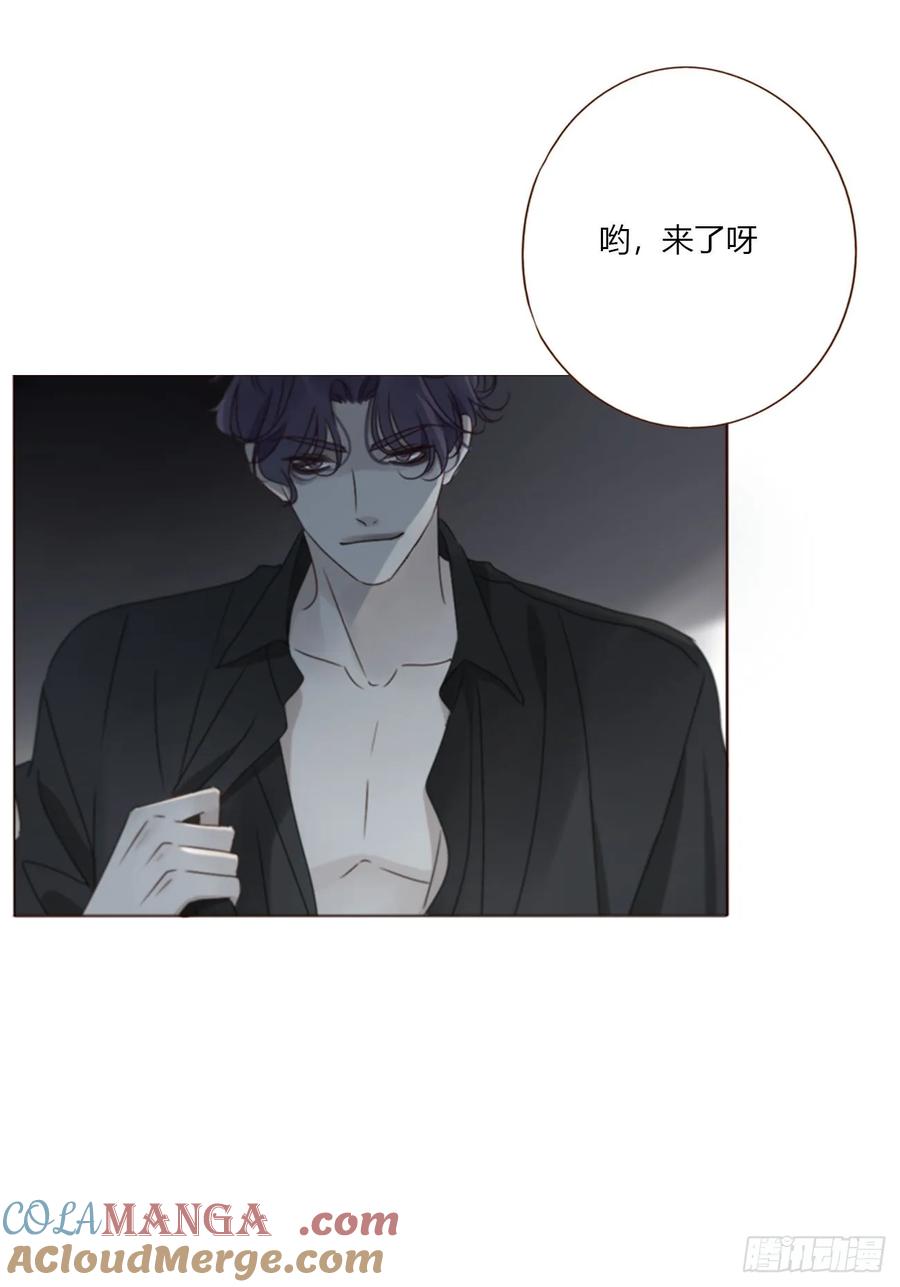 拥然入怀 一八九章 清算1 第41页