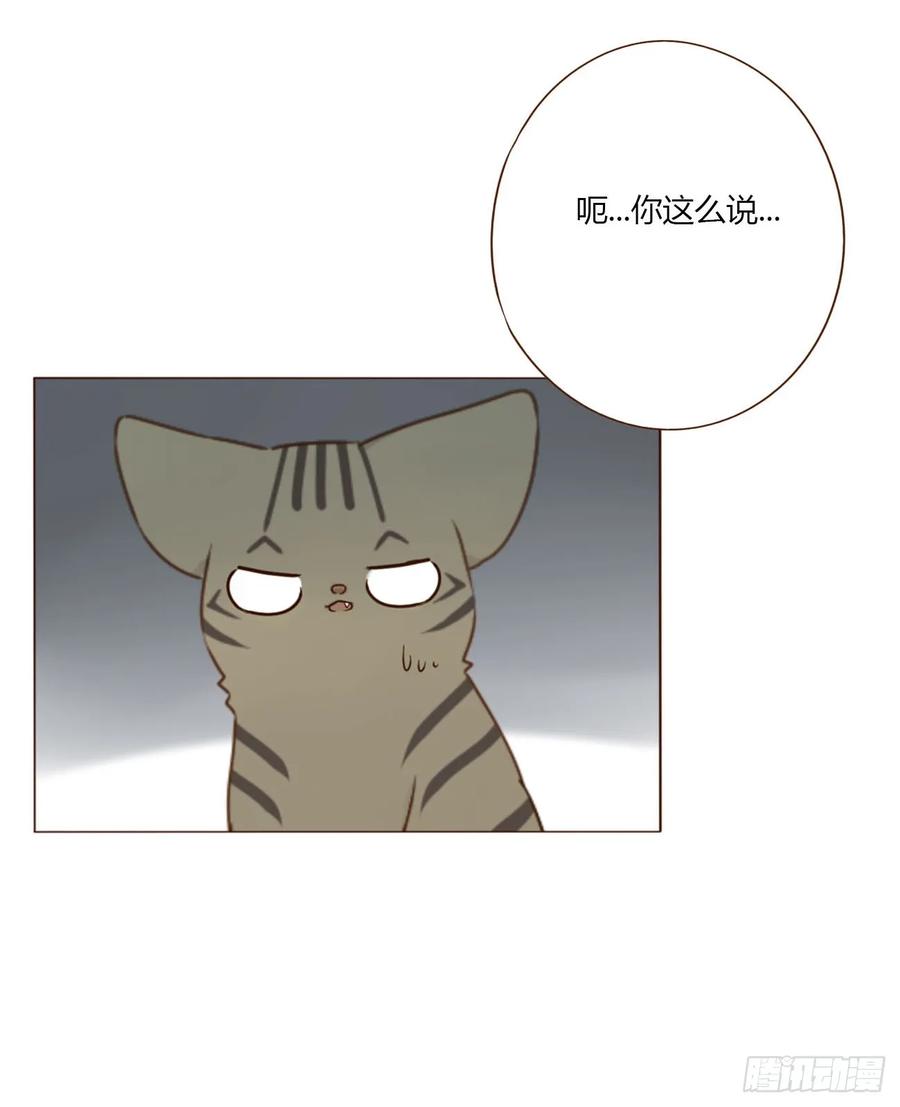 拥然入怀 一八九章 清算1 第18页