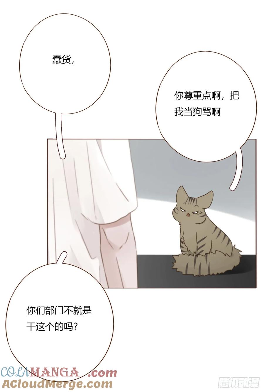 拥然入怀 一八九章 清算1 第21页