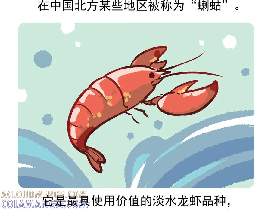 《胖达x胖达》第72话 第21页