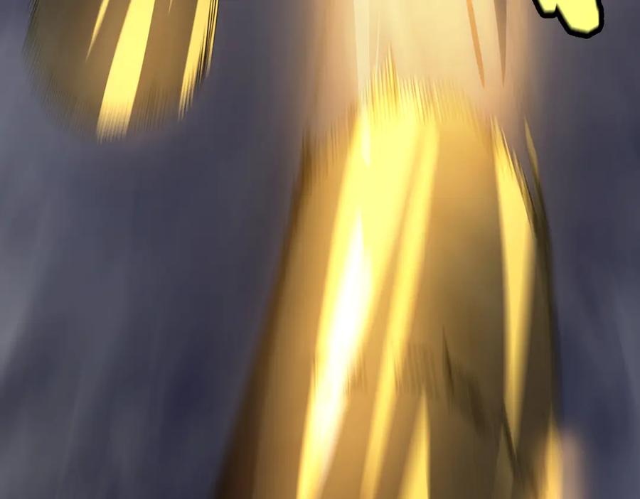 《SSS级超越常理的圣骑士》第45话 王轩的底牌 第47页